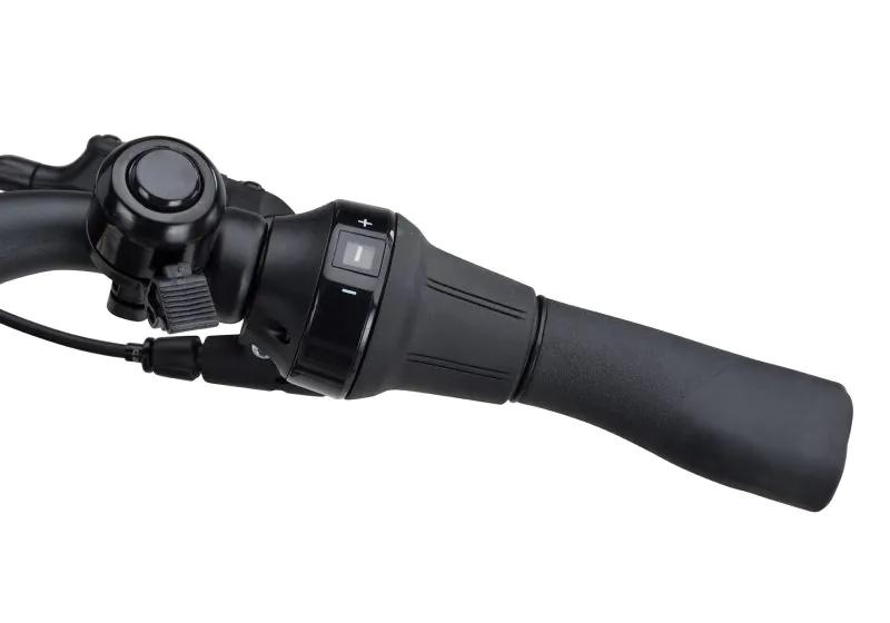 Batavus Altura E-Go Power Pro Smart 500wh – Image 2