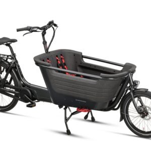 Elektrische fietsen Batavus Fier 2 Enviolo 2026