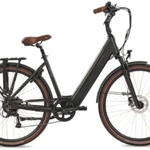 Elektrische fietsen Fongers Nuevo RM Zwart