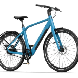 Elektrische fietsen Reany N1 GT Heren