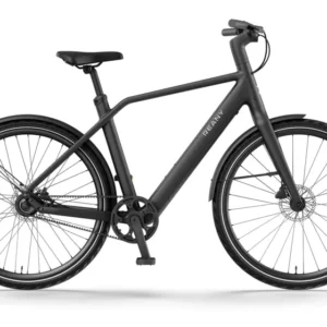 Elektrische fietsen Reany N1 Heren