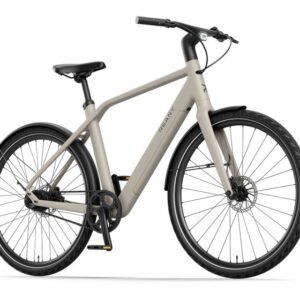 Elektrische fietsen Reany N1 Pro Heren
