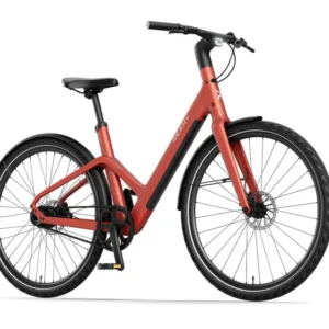 Elektrische fietsen Reany W1 Dames