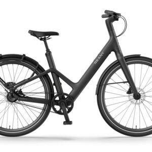 Elektrische fietsen Reany W1 GT Dames