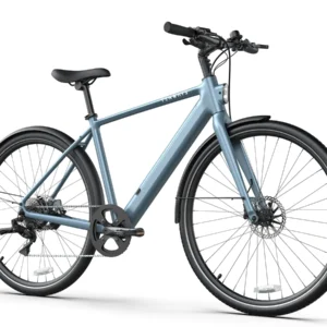 Elektrische fietsen Tenways CGO600 Plus