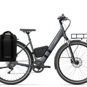 Elektrische fietsen Tenways CGO800S Plus