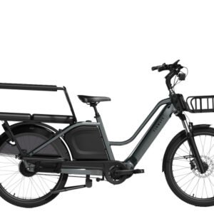 Elektrische fietsen Tenways Longtail DUO