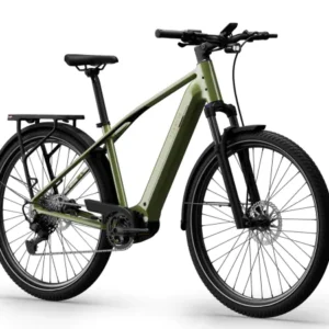 Elektrische fietsen Tenways AGO X Special