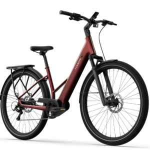 Elektrische fietsen Tenways AGO AIR