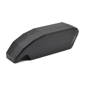 E Bike Vision PowerPack 540 Performance Active frame door