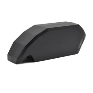 E Bike Vision PowerPack 700 Performance Active frame door